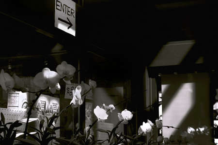 TENAFLY, NEW JERSEY, USA, 6 APRIL 2012: Fresh flowers for sale at entrance to a Korean grocery store.のeditorial素材