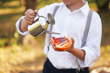 jamon, tomatoes, olive oil, breadの写真素材