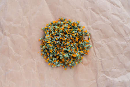 dried marigold on old paper, dry daisy, top view, background for text, for logo, frameの写真素材
