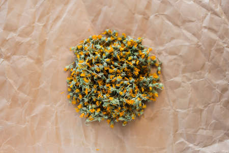 dried marigold on old paper, dry daisy, top view, background for text, for logo, frameの写真素材