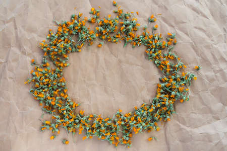 dried marigold on old paper, dry daisy, top view, background for text, for logo, frameの写真素材
