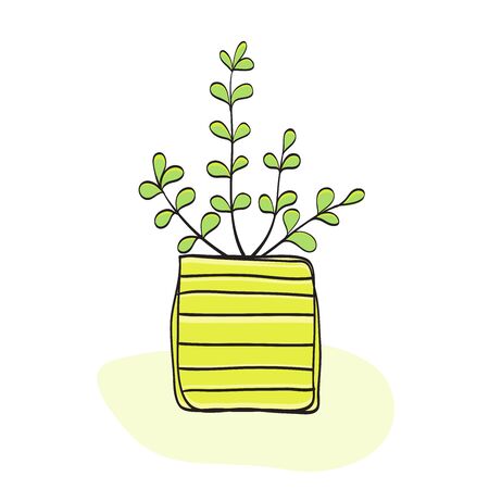 ute plant vector, small plant in pot succulents or cactus.  hand drawn plant illustration on pot.のイラスト素材