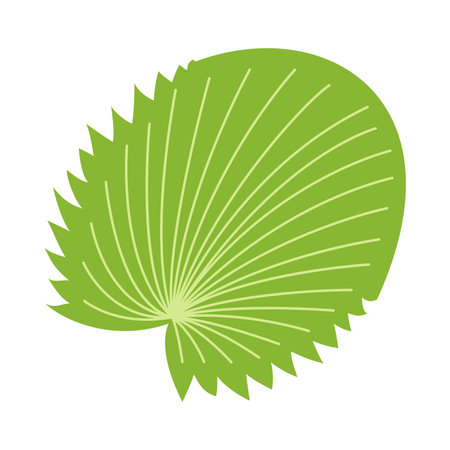 tropical leafs plant icon vector illustration design graphic flat style shadowのイラスト素材