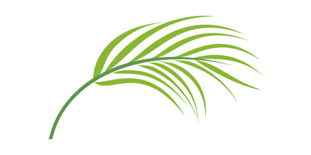 Palm leaf vector illustration design template. Palm leaf icon vector illustration designのイラスト素材