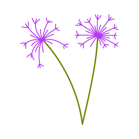 cute dandelion flower isolated icon vector illustration design  purple colorのイラスト素材