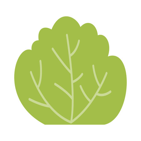 Bushes and Grass Illustration. Simple abstract floral flat cartoon vector illustration. Garden green plant isolated on white background. Eco elementのイラスト素材