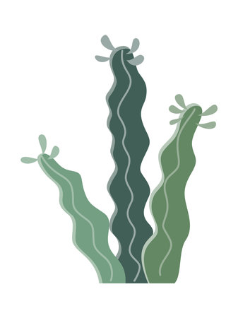 Cactuses isolated on white background. Vector illustration in flat style.のイラスト素材