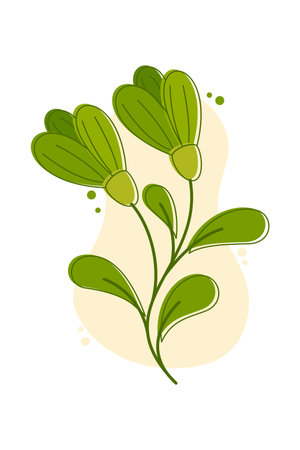 Green branch with leaves on a white background. Vector illustration in flat style.のイラスト素材