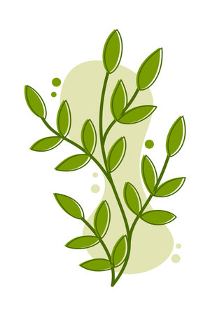 Branch with green leaves on a white background. Vector illustration.のイラスト素材