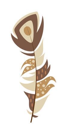feather of a bird on a white background. Vector illustration.のイラスト素材