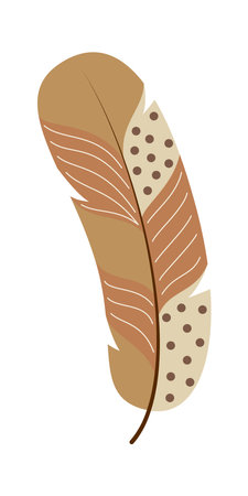 feather design, vector illustration graphic.のイラスト素材