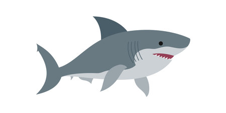 Shark isolated on white background. Vector illustration in flat style.のイラスト素材