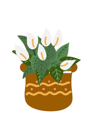 Illustration of a pot with calla lilies on a white backgroundのイラスト素材