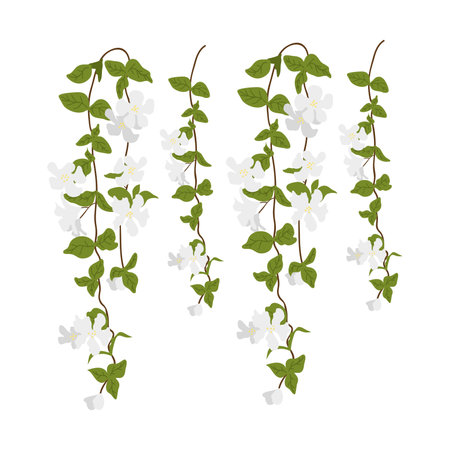 apple tree branch with flowers and leaves over white background. vector illustrationのイラスト素材