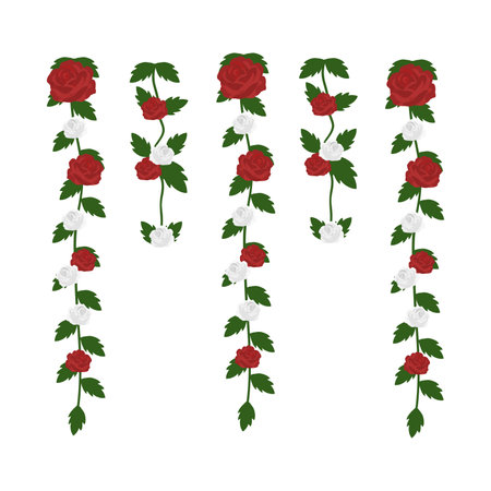 Vector set of red roses with white and red flowers isolated on white backgroundのイラスト素材