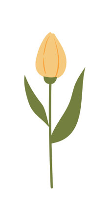 Isolated tulip flower icon. Spring season - Vector illustration designのイラスト素材