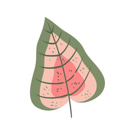 Watermelon leaf vector illustration. Hand drawn watermelon leaf isolated on white background.のイラスト素材