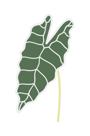 Tropical leaf icon. Plant nature and season theme. Isolated design. Vector illustrationのイラスト素材