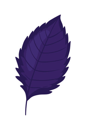 leaves foliage nature icon vector illustration graphic design vector illustration graphic designのイラスト素材