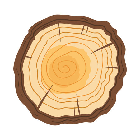 Cross section of tree trunk. Vector illustration of tree stump isolated on white background.のイラスト素材