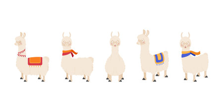 Llama in different poses. Vector illustration isolated on white background.のイラスト素材