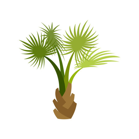 Palm tree icon, isometric 3d style on a white backgroundのイラスト素材