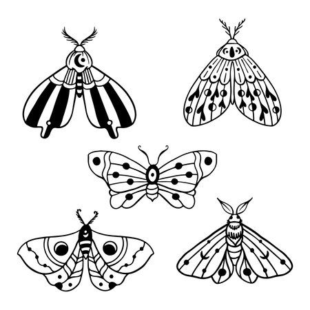 Set of black and white butterflies isolated on white background. Vector illustration.のイラスト素材