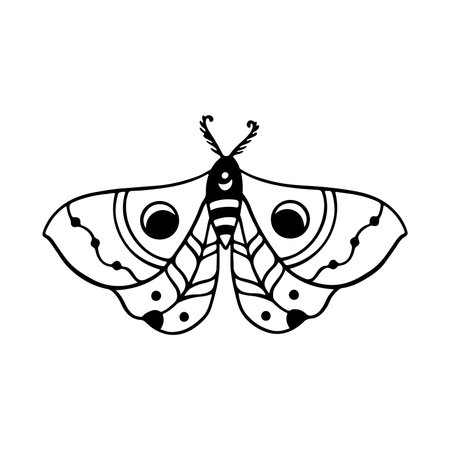 butterfly insect icon over white background, line style, vector illustrationのイラスト素材