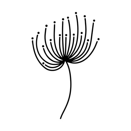 dandelion flower icon over white background, line style, vector illustrationのイラスト素材