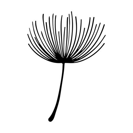 Dandelion flower silhouette on white background. Hand drawn vector illustration.のイラスト素材