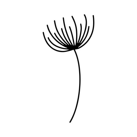 dandelion flower icon over white background, line style, vector illustrationのイラスト素材