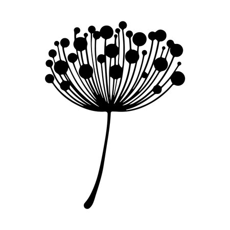 coriander plant icon over white background, vector illustratonのイラスト素材