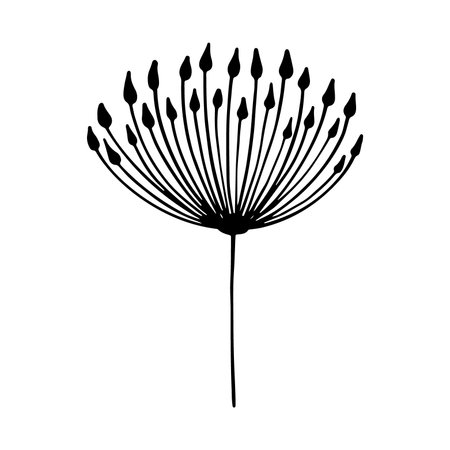 Dandelion flower. Hand drawn doodle vector illustration.のイラスト素材