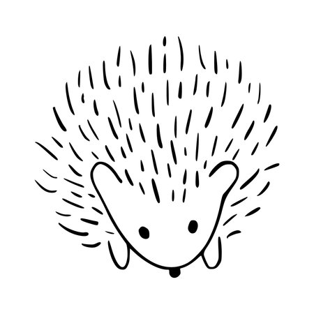 Cute hand drawn hedgehog. Vector illustration isolated on white background.のイラスト素材