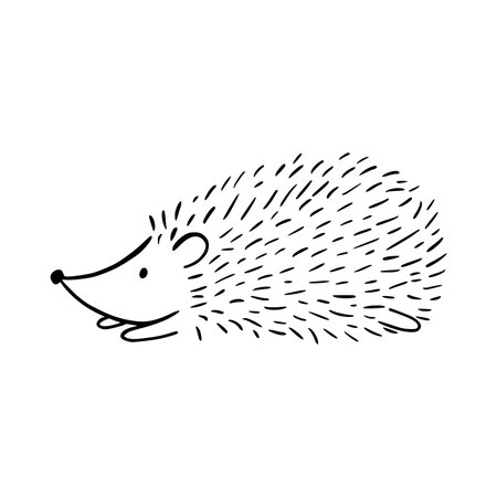 Cute hedgehog. Hand drawn doodle vector illustration.のイラスト素材