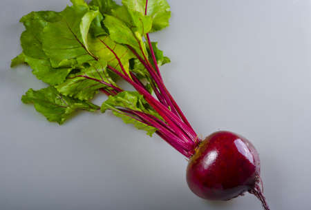 	Botwinka (for soup from young red beet plants, Polisch)の写真素材