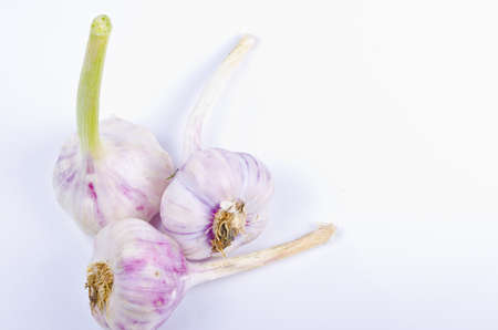 an autumnal cabbage, garlic and leek gemüse kompozitionの写真素材