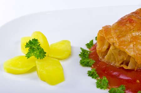  cabbage rollsの写真素材
