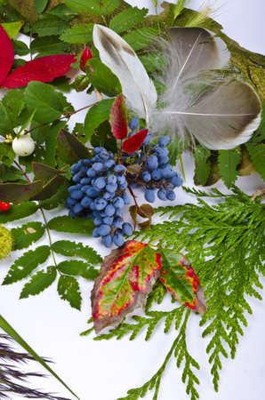 Autumn is one of the four temperate seasons.の写真素材