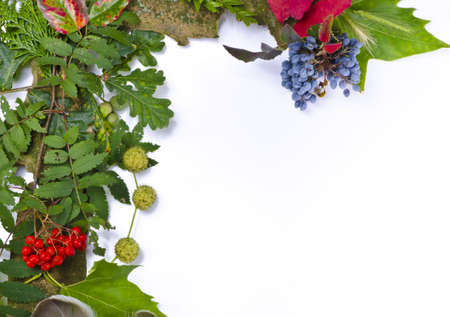 Autumn is one of the four temperate seasons.の写真素材