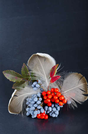 Rowanberry and other fruitsの写真素材