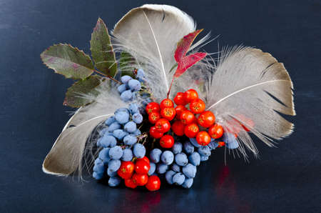 Rowanberry and other fruitsの写真素材