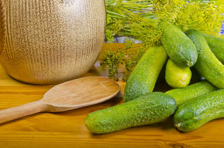 Fresh Polish garlic cucumbers with piquant garlic markの写真素材