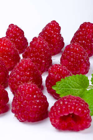Rubus idaeus  is a red-fruited species of Rubus native to Europe and northern Asia の写真素材