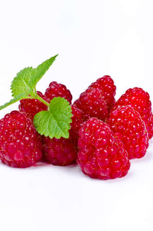 Rubus idaeus  is a red-fruited species of Rubus native to Europe and northern Asia の写真素材