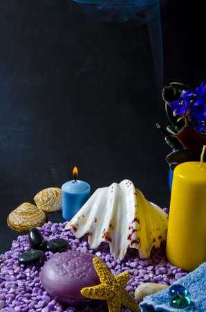 different soaps sorten with musselsの写真素材
