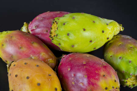 prickly pearの写真素材