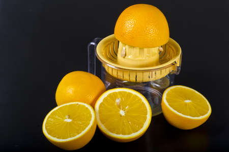 Citrus is believed to have originated in the part of Southeast Asia bordered by Northeastern India, Myanmar (Burma) and the Yunnan province of Chinaの写真素材