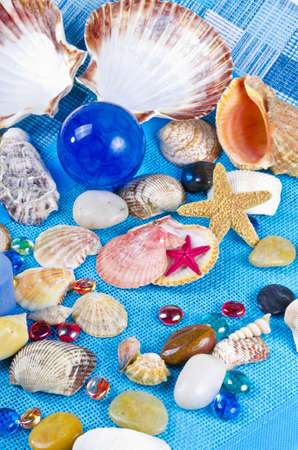 Mussels on blue backgroundの写真素材