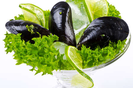 Mussels